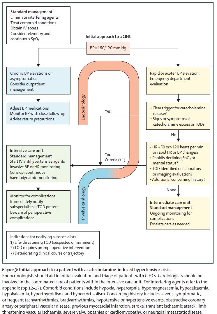 Гипертонические кризы, вызванные катехоламинами: современное понимание и  лечение (Lancet Diabetes & Endocrinology, декабрь 2023)