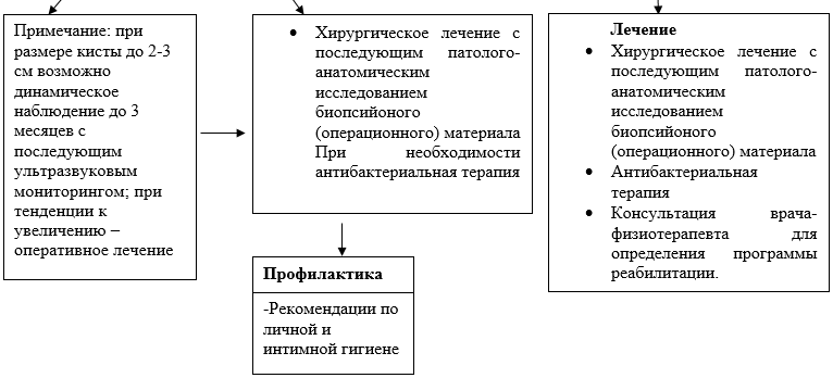 Болезни бартолиновой железы по утвержденным клиническим рекомендациям. Дифференциальная диагностика киста бартолиновой железы. Воспалилась бартолиновая железа. Воспоминание бартолиновой железы. Анатомия бартолиновой железы.