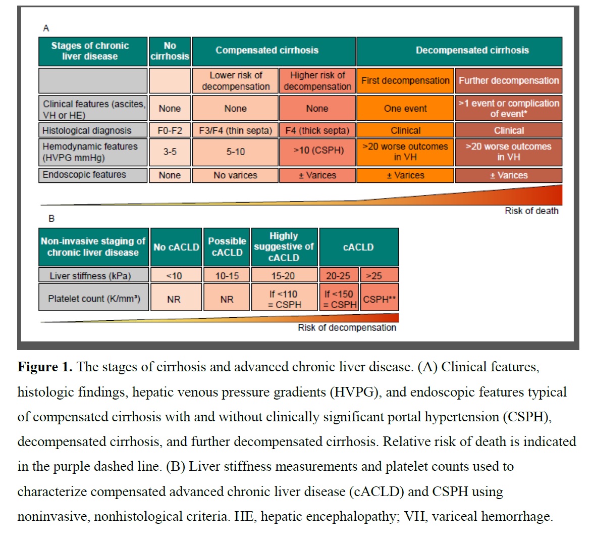 Руководство по стратификации риска и лечению портальной гипертензии и ...