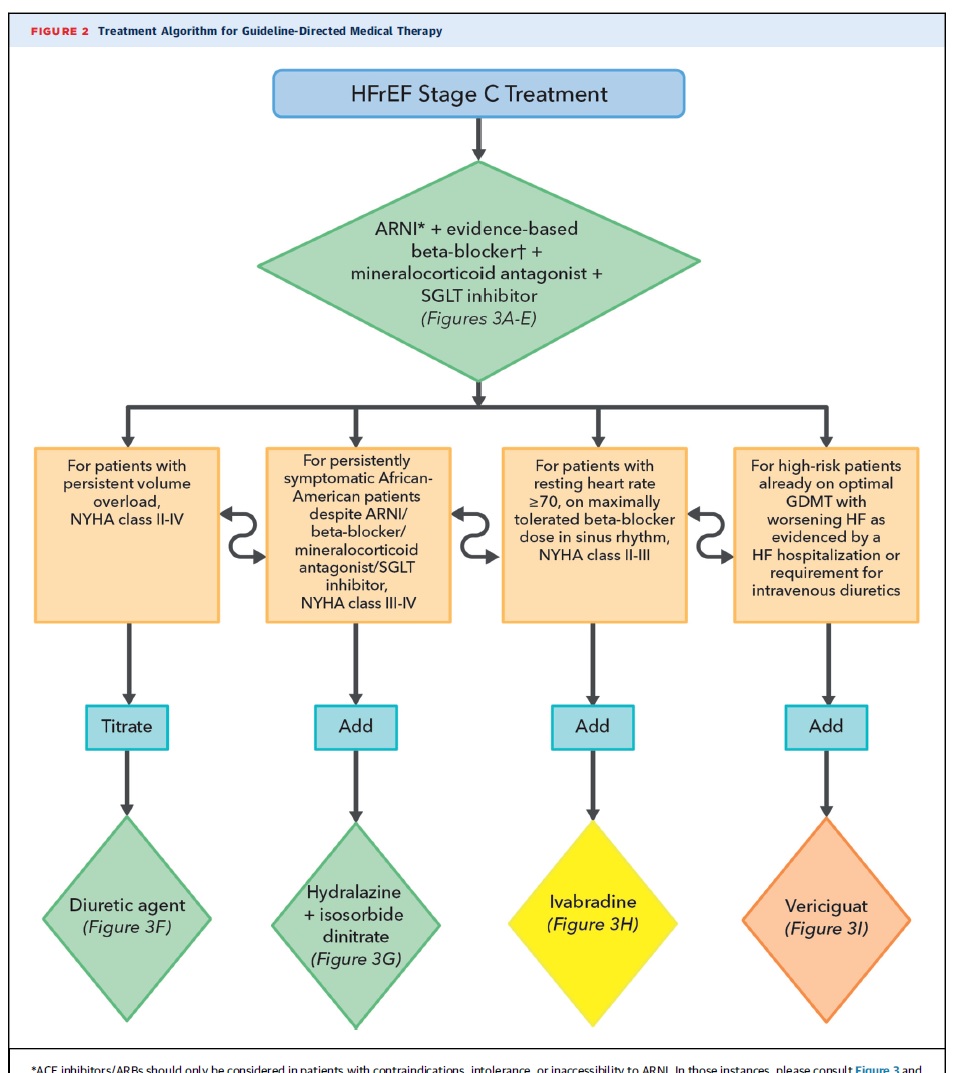 2024 ACC Экспертный консенсусный подход к лечению сердечной недостаточности  с низкой фракцией выброса (JACC, март 2024) > MedElement