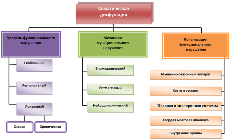 Остеопатия